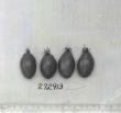 Click for 1 image(s) for this accession. FRUIT